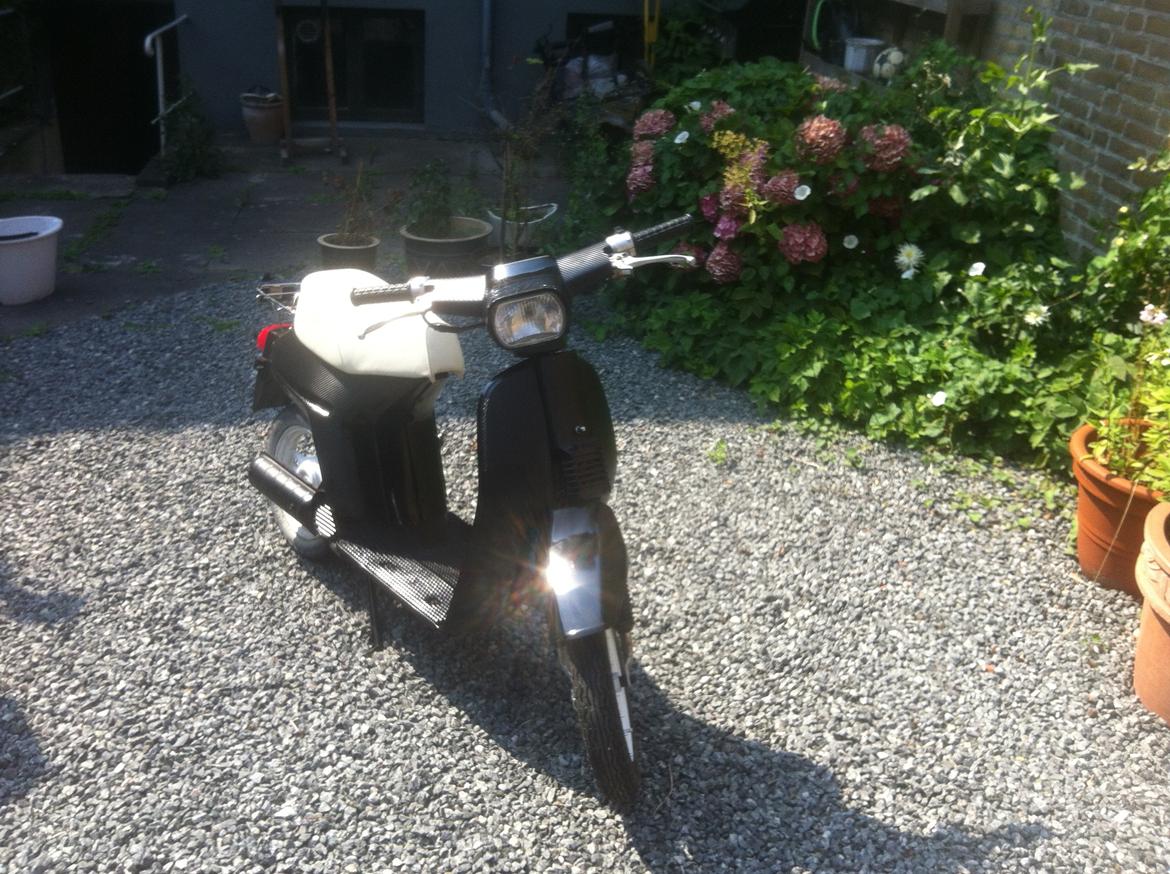 Honda melody billede 6