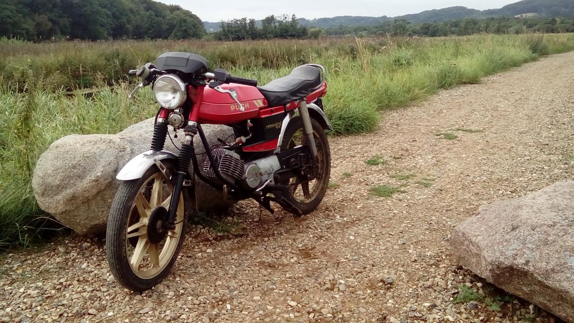 Puch Monza Juvel  billede 6