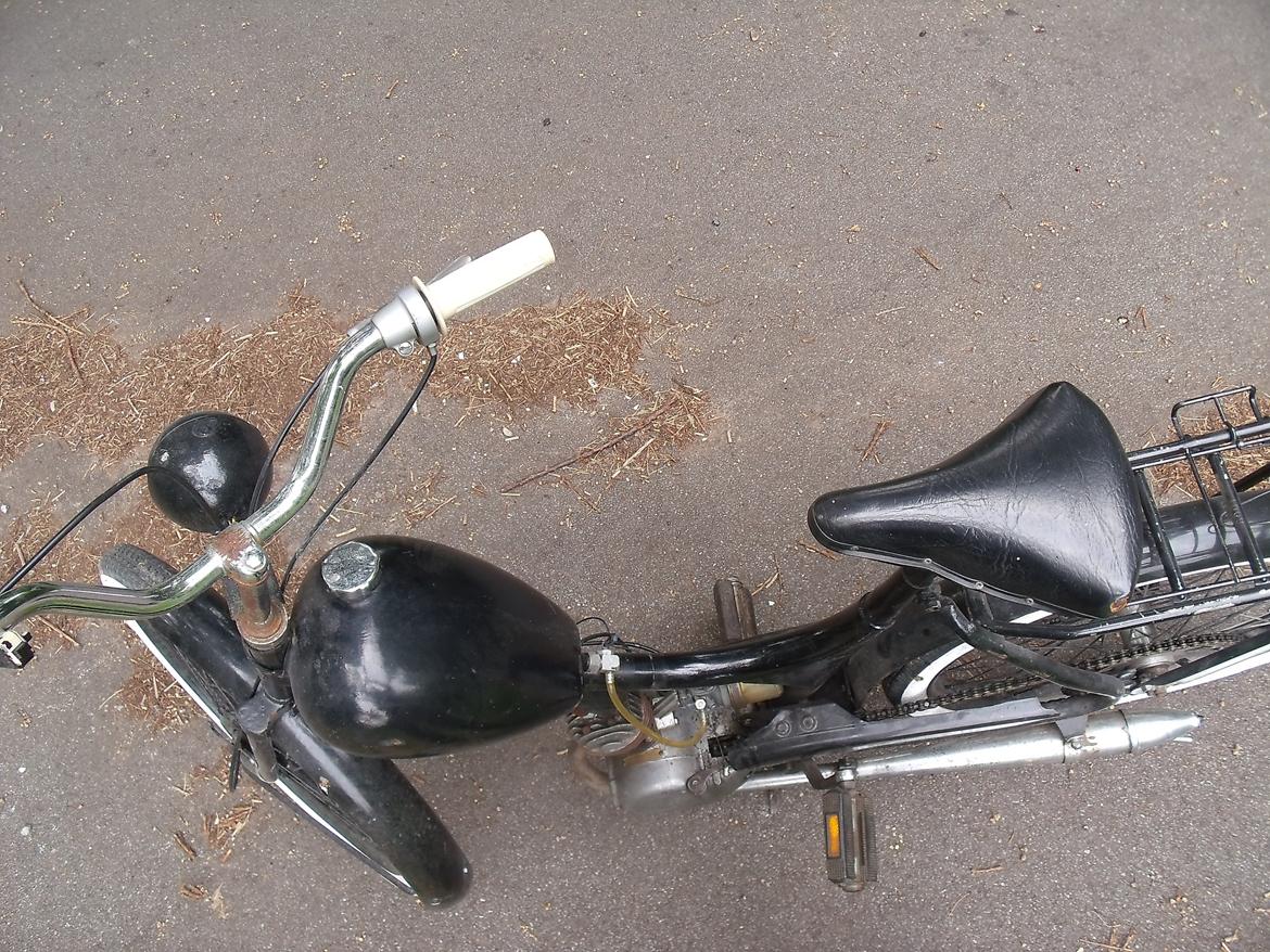 Sco Remington  billede 10