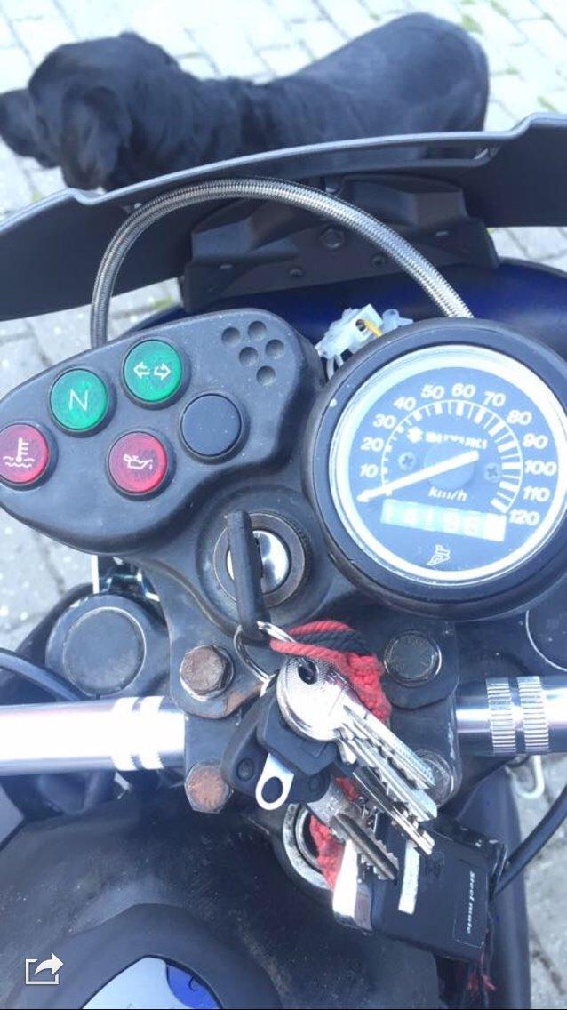 Suzuki RMX billede 7