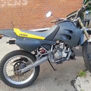 Derbi Senda R (45'er)