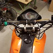 TMS M3