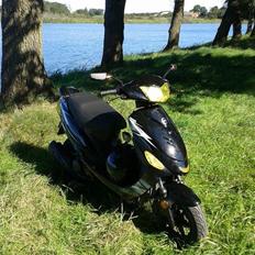 VGA Digita Dell´Orto