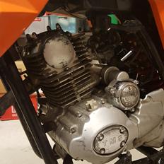 TMS M3
