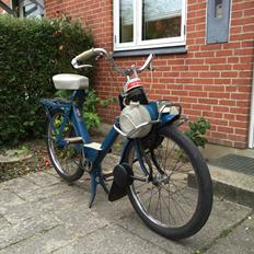 Velo Solex 3800 [Solgt]