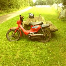 Honda Wallaroo