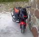 PGO PMX sport (før)