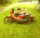Honda Wallaroo