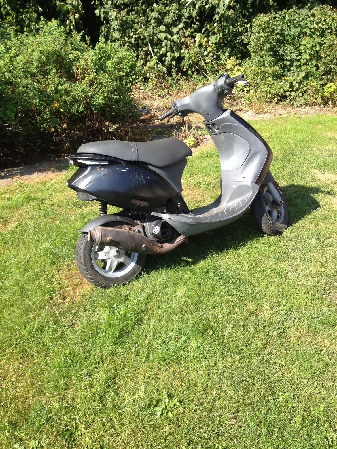 Piaggio new zip billede 3