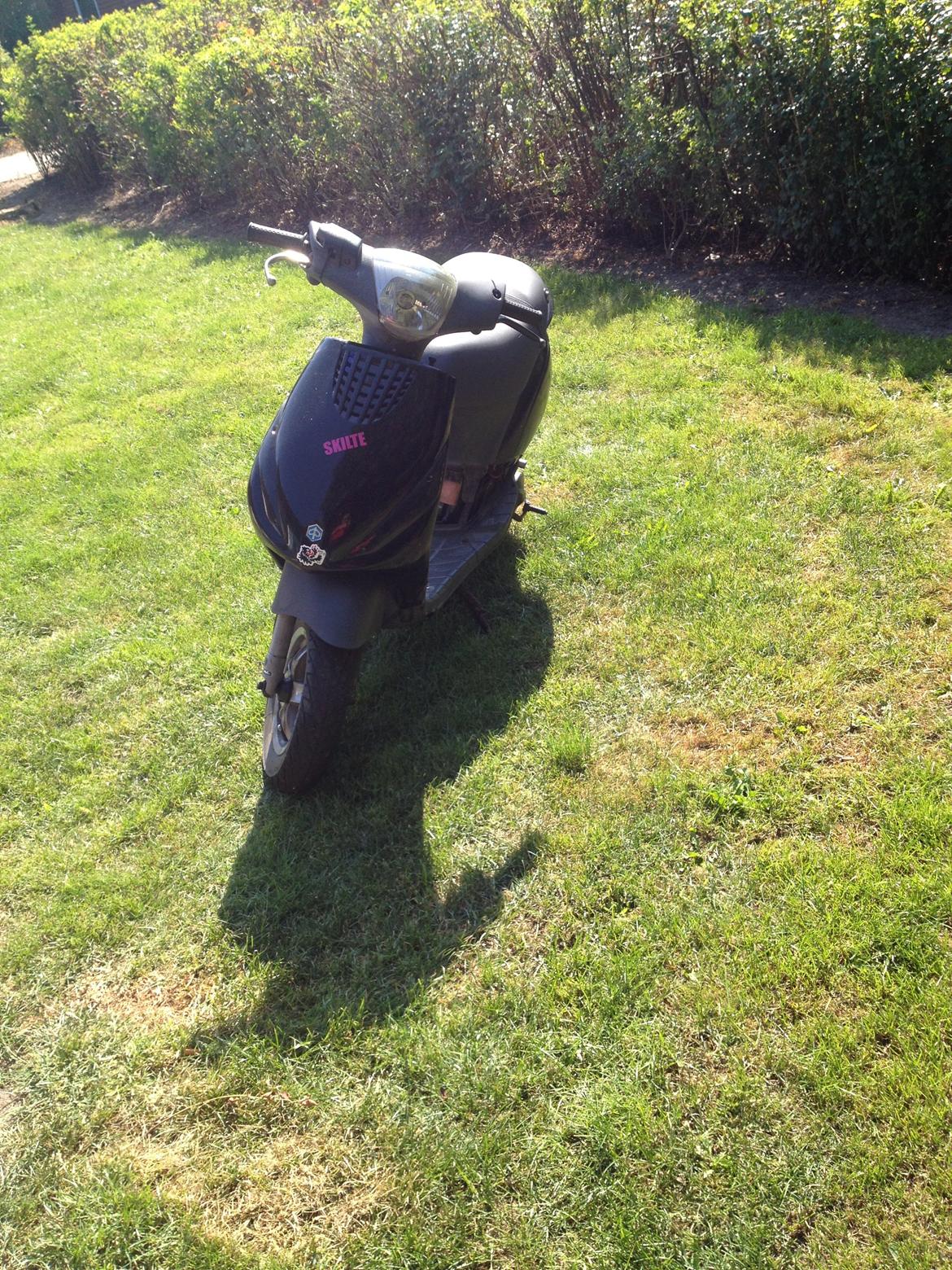 Piaggio new zip billede 2