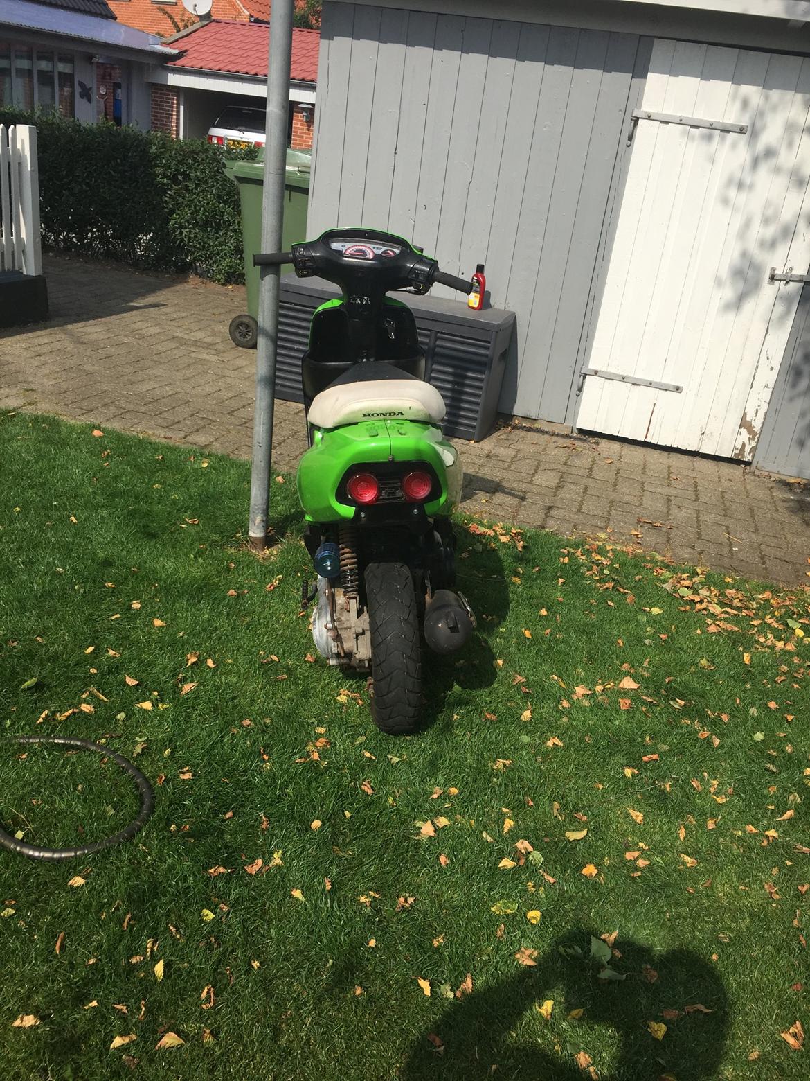 Honda Sfx billede 4