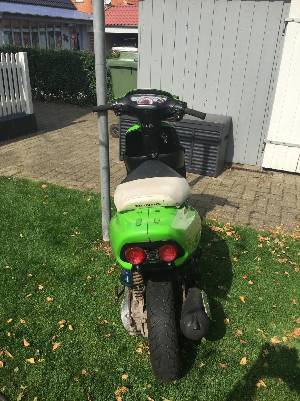 Honda Sfx billede 5