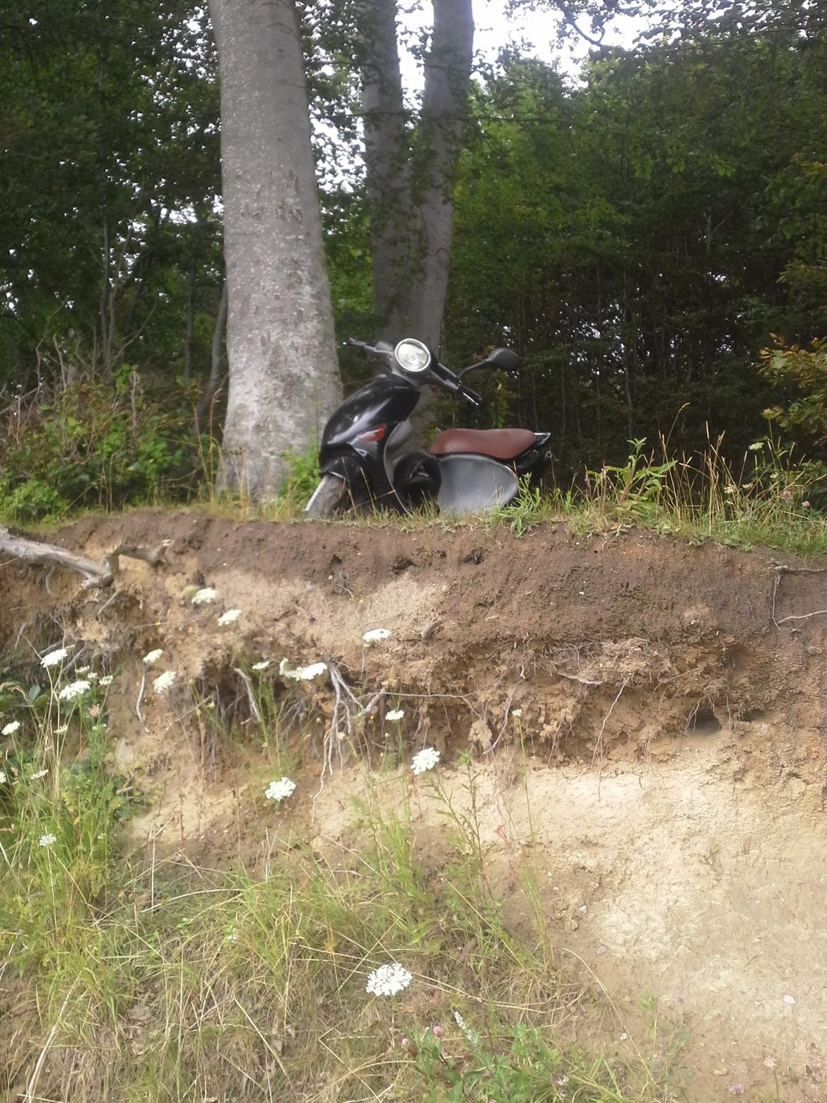 PGO rodoshow 50 solgt billede 1