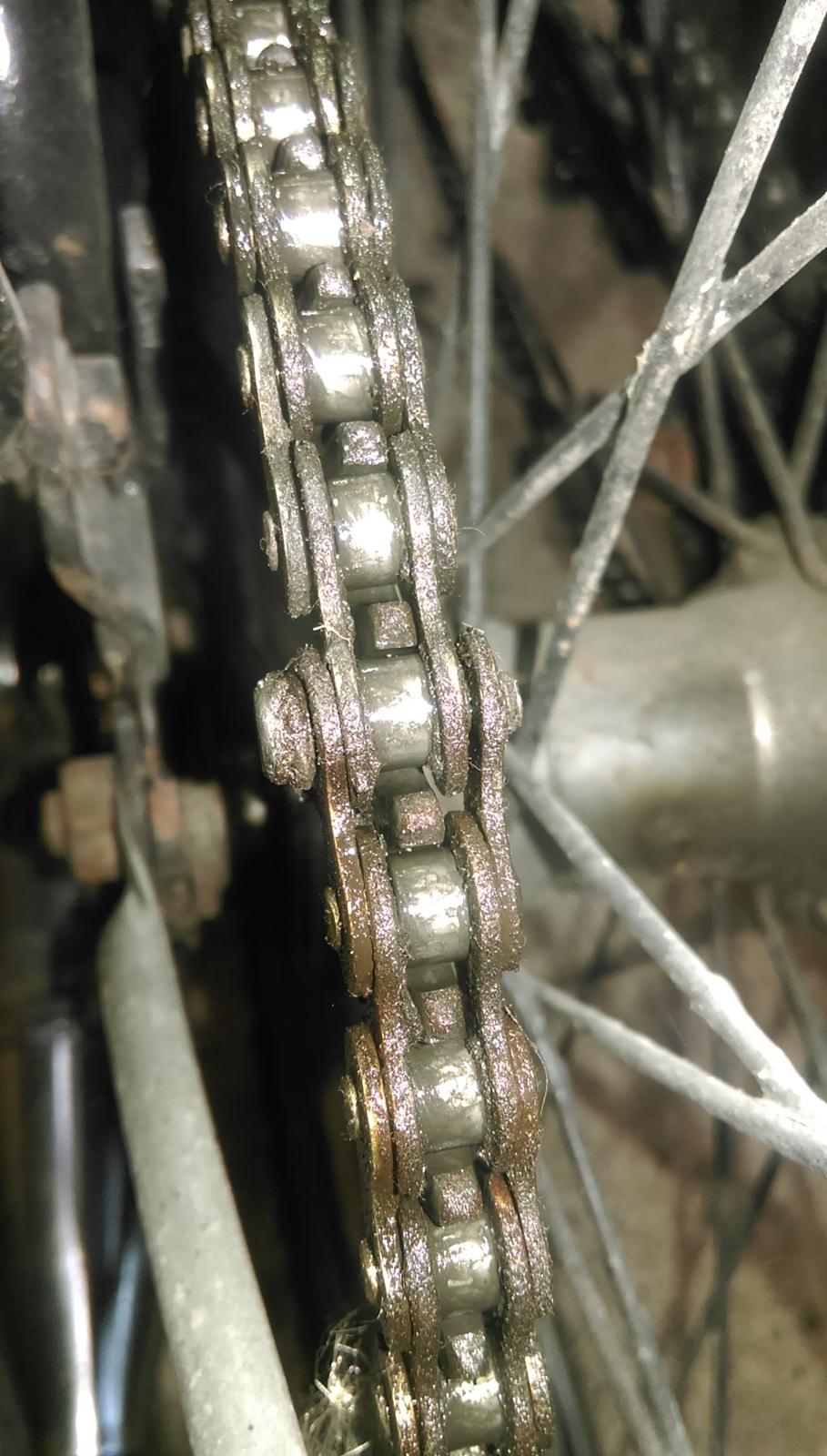 Sco Remington  billede 37