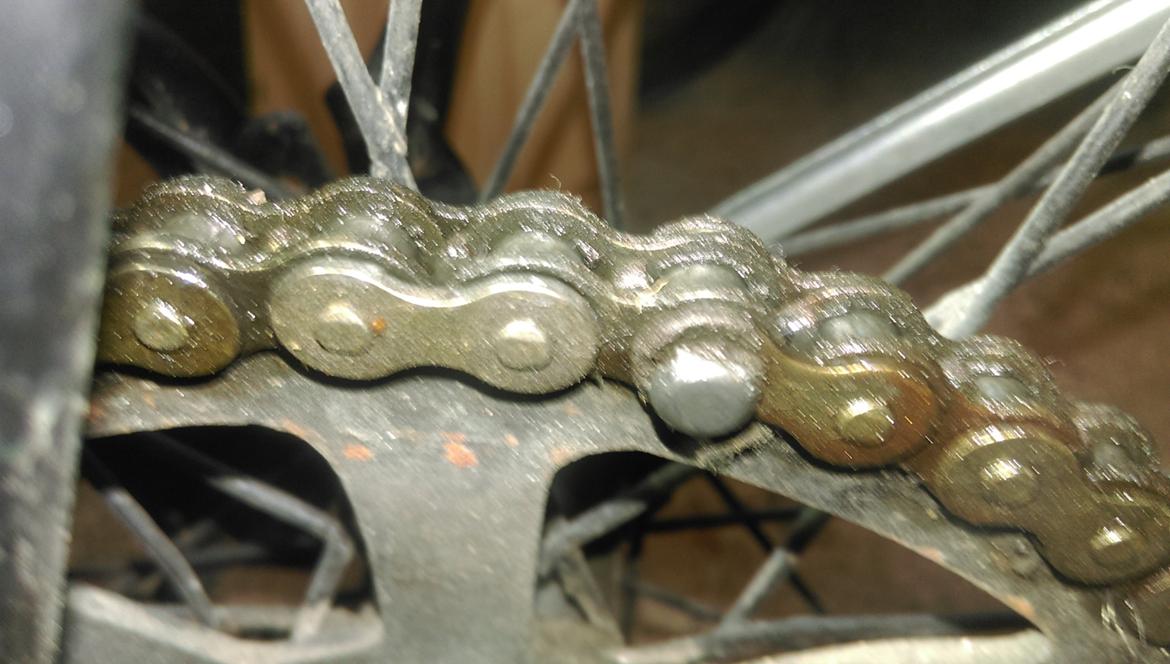 Sco Remington  billede 40