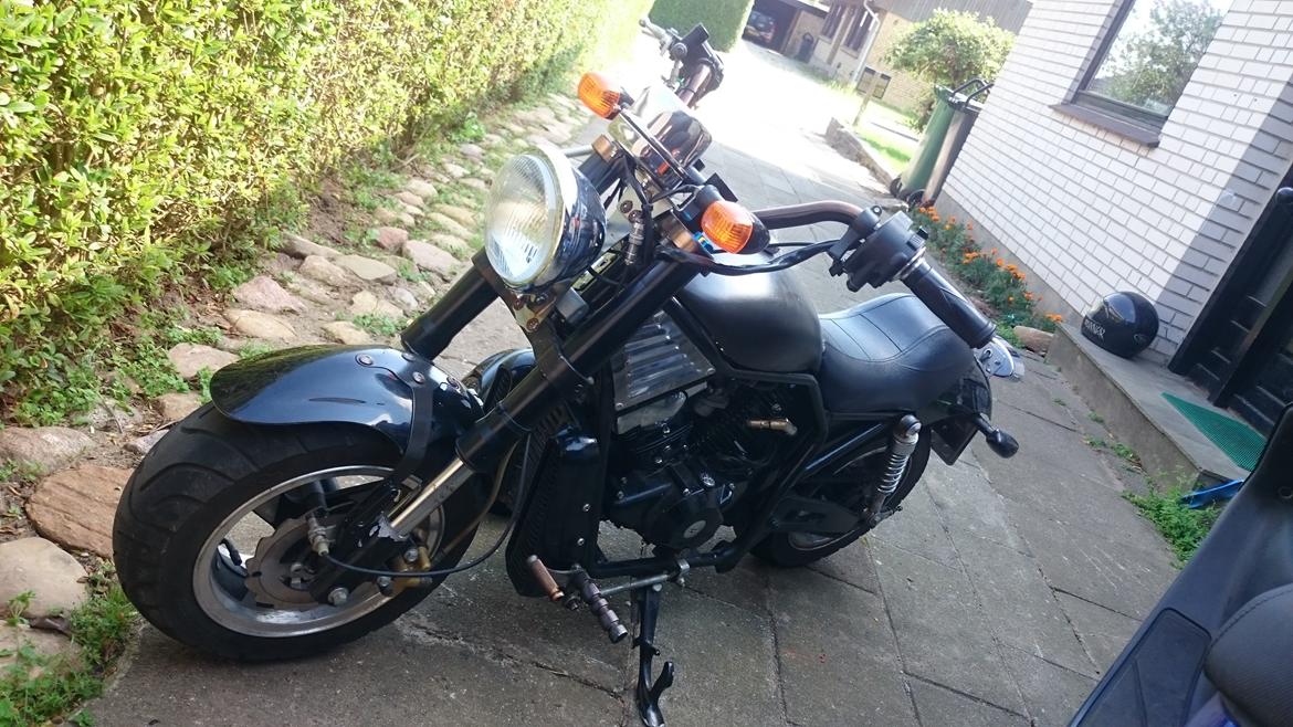 Beta Mini V-Rod SHENG QOIBAO Black Jack billede 10