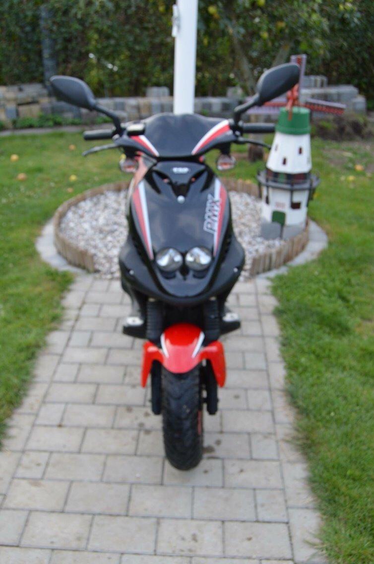 PGO Pmx sport billede 11