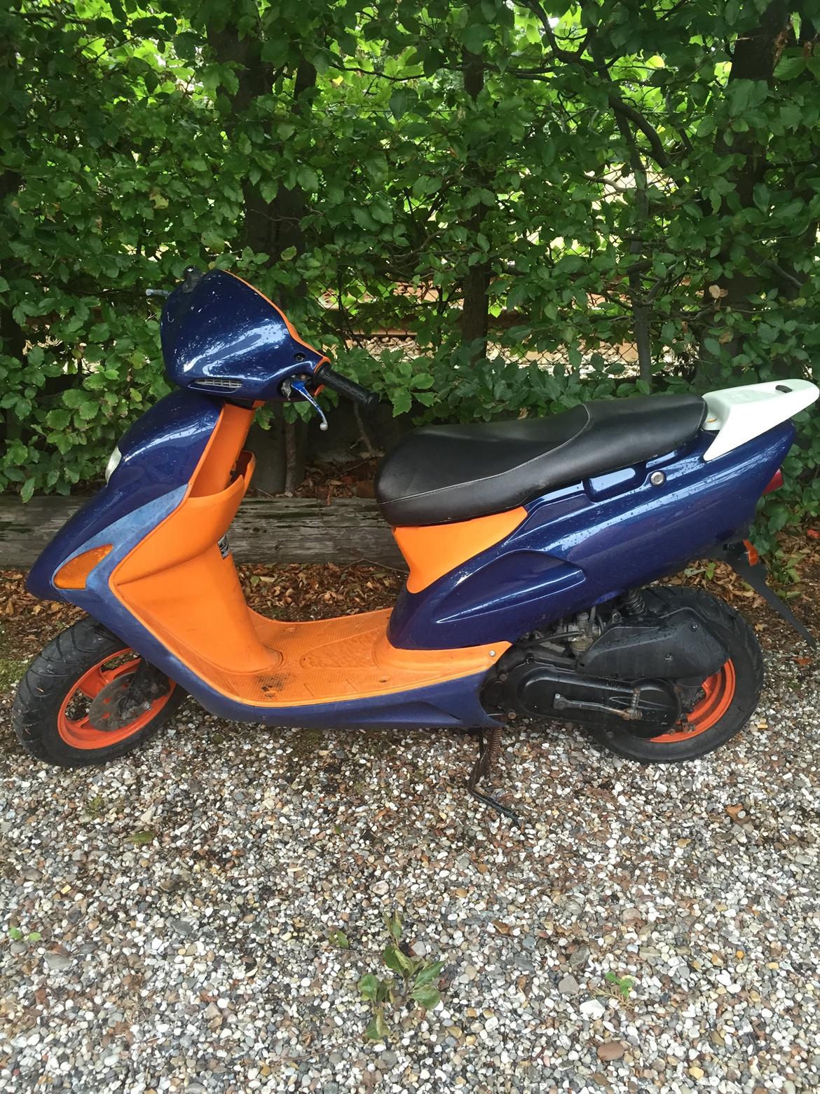 Honda Sfx billede 2