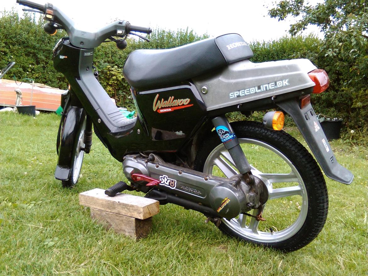 Honda Wallaroo (Trofast) SOLGT: ( billede 8