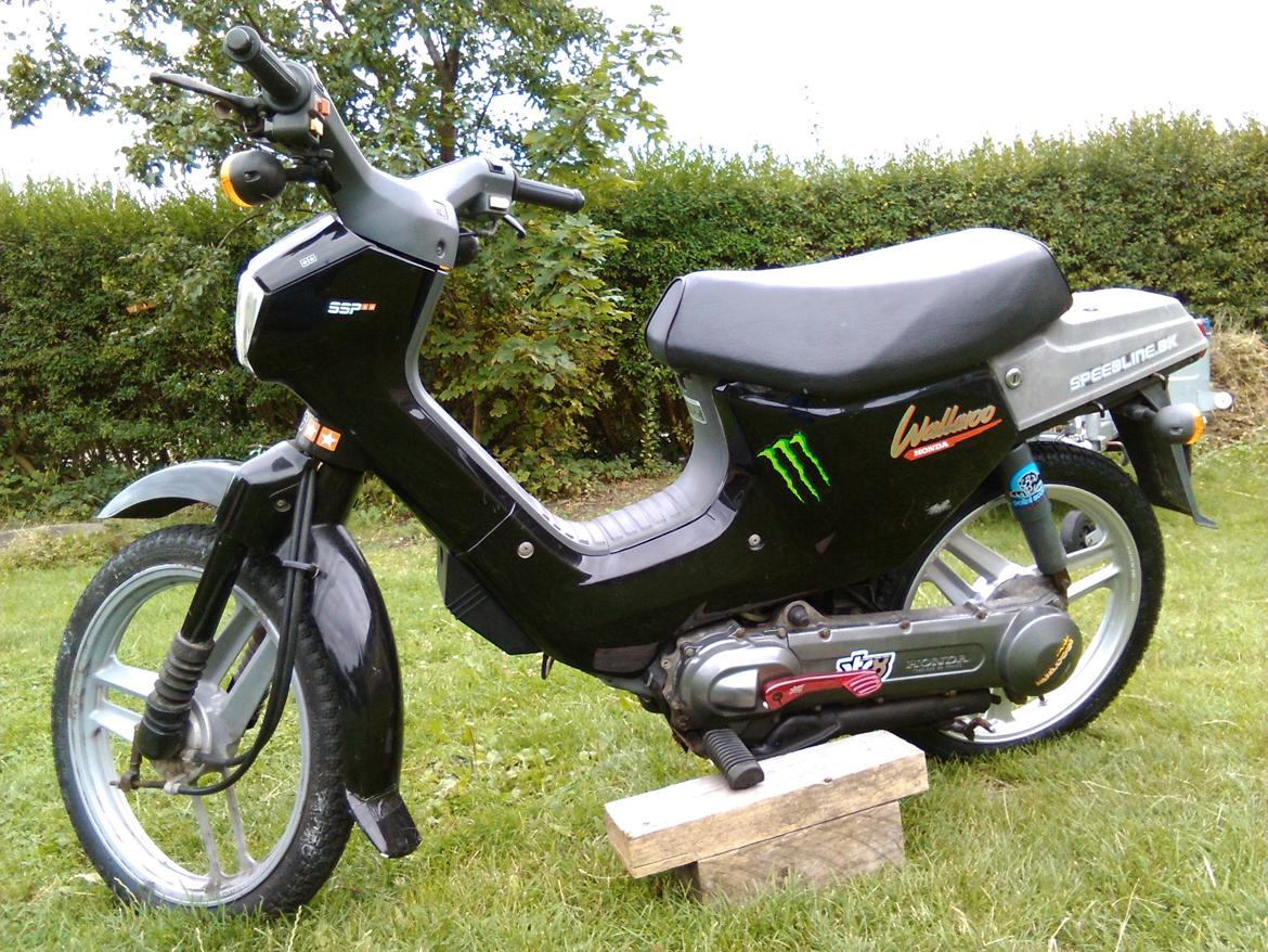 Honda Wallaroo (Trofast) SOLGT: ( billede 9