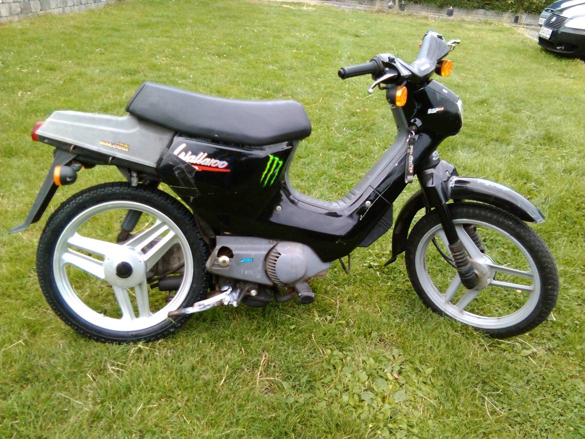 Honda Wallaroo (Trofast) SOLGT: ( billede 10