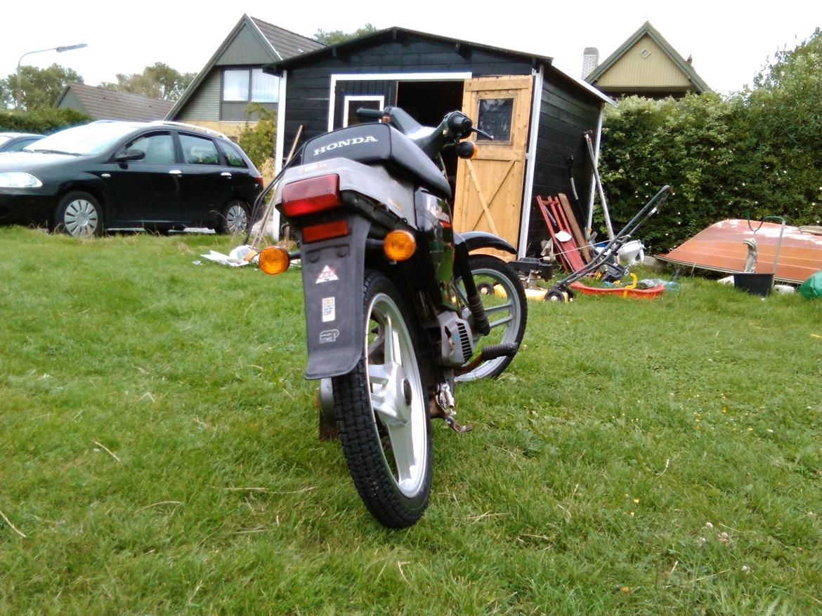 Honda Wallaroo (Trofast) SOLGT: ( billede 11