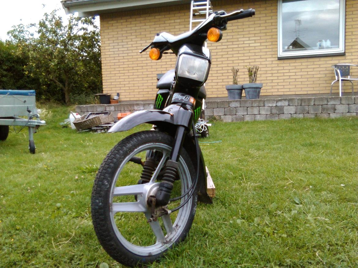 Honda Wallaroo (Trofast) SOLGT: ( billede 12