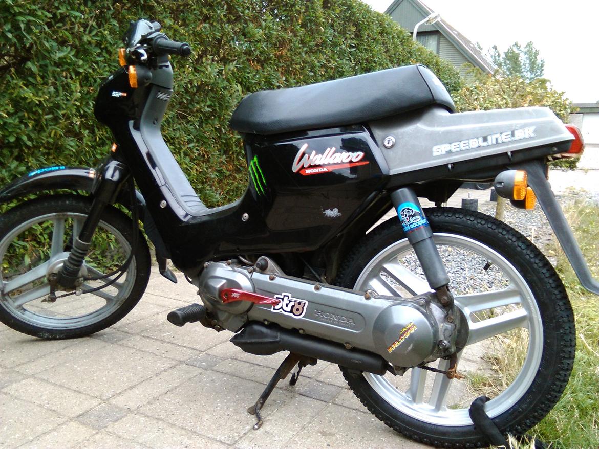 Honda Wallaroo (Trofast) SOLGT: ( billede 13