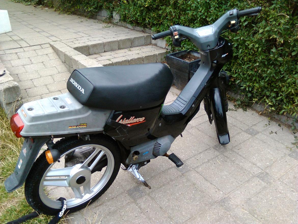 Honda Wallaroo (Trofast) SOLGT: ( billede 14
