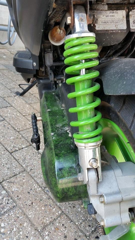 CPI Oliver  billede 5