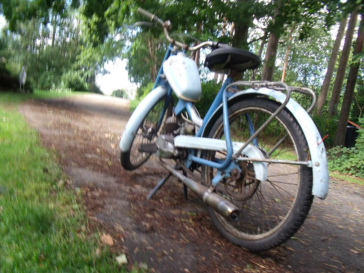 Sco Remington  billede 8