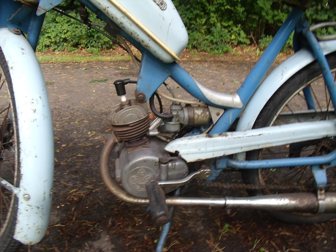 Sco Remington  billede 10