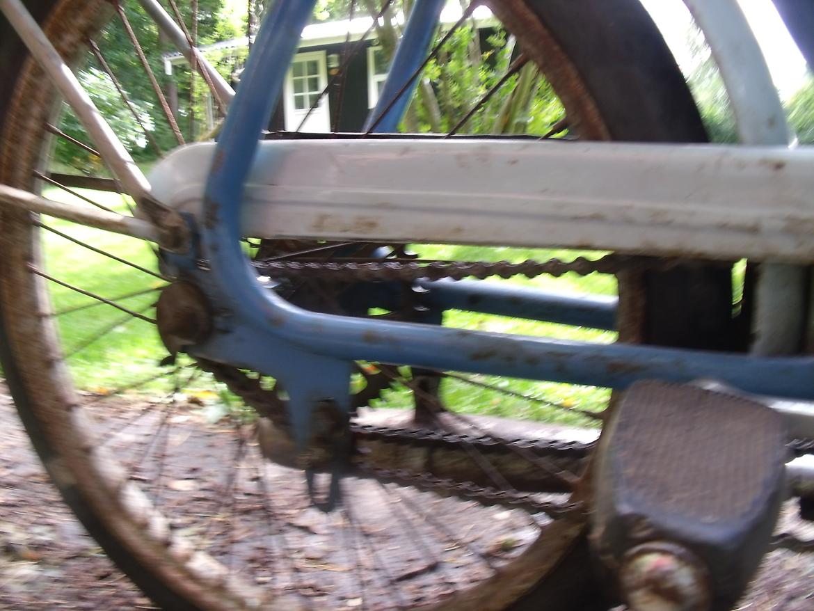 Sco Remington  billede 33