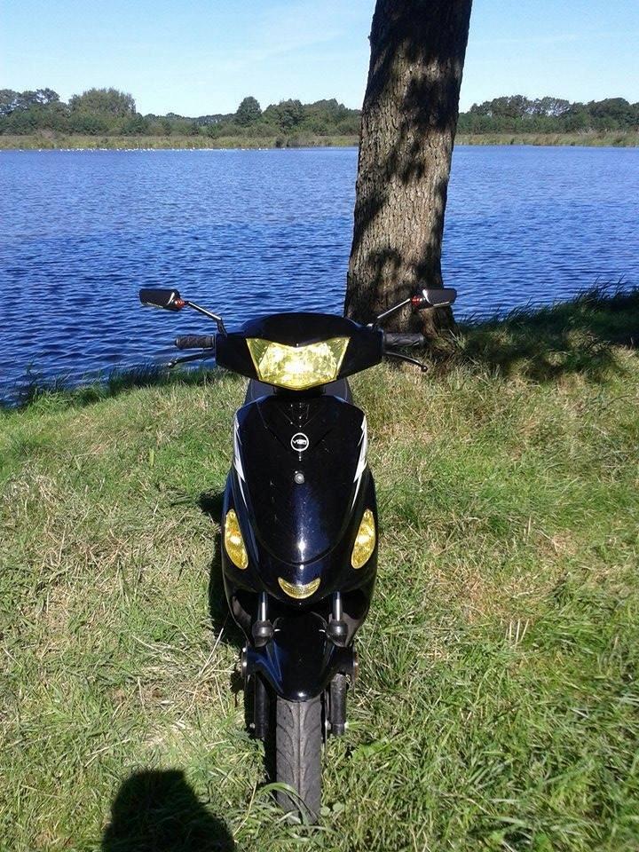 VGA Digita Dell´Orto billede 2