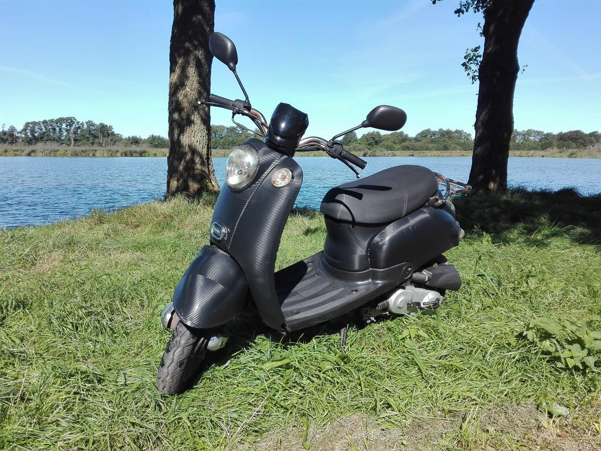 Giantco Venus billede 1