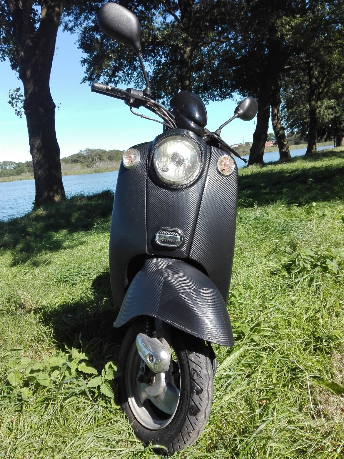 Giantco Venus billede 2