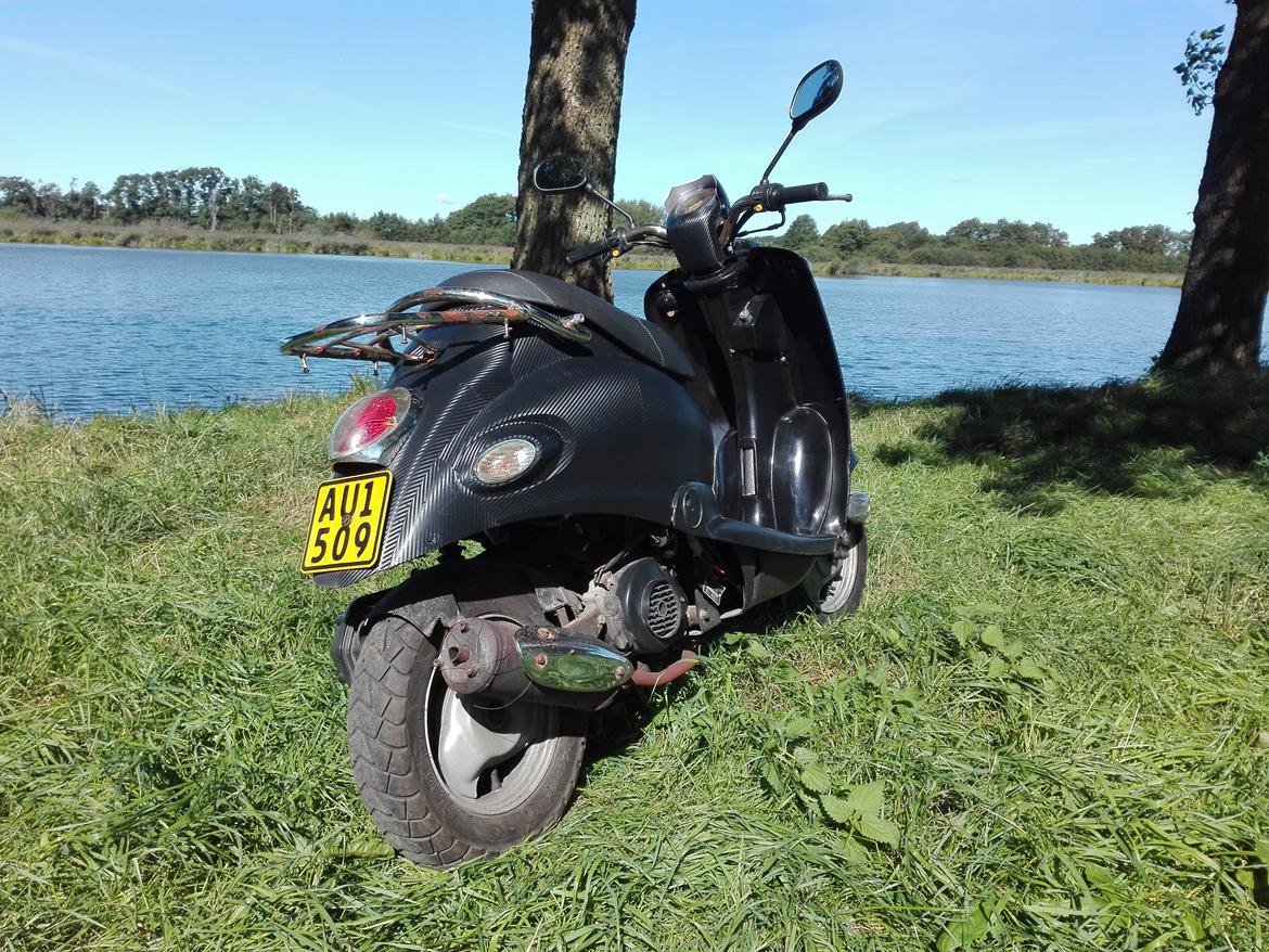 Giantco Venus billede 4