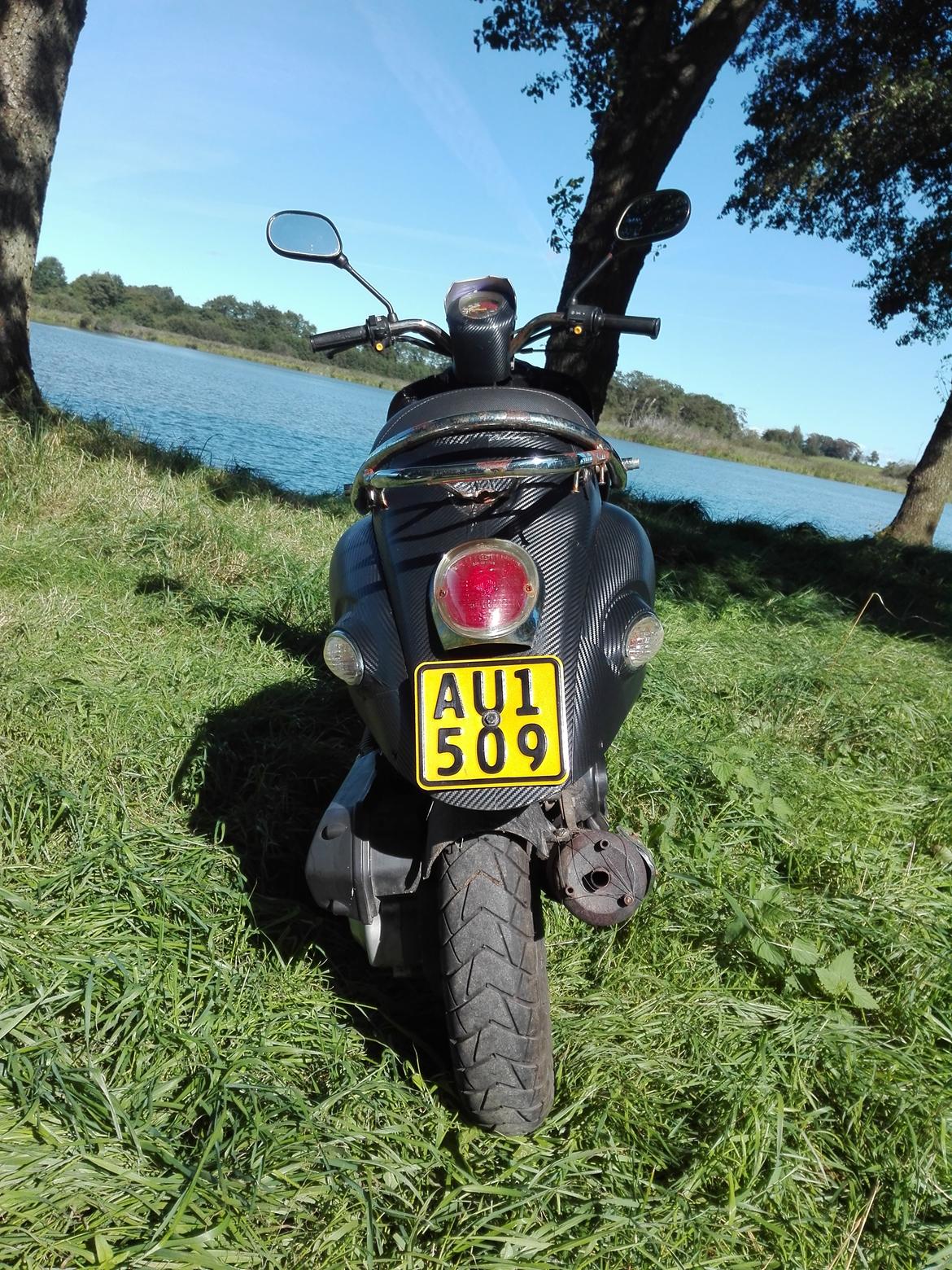 Giantco Venus billede 5