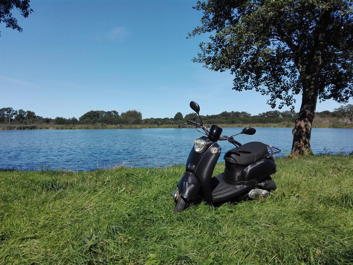 Giantco Venus billede 6