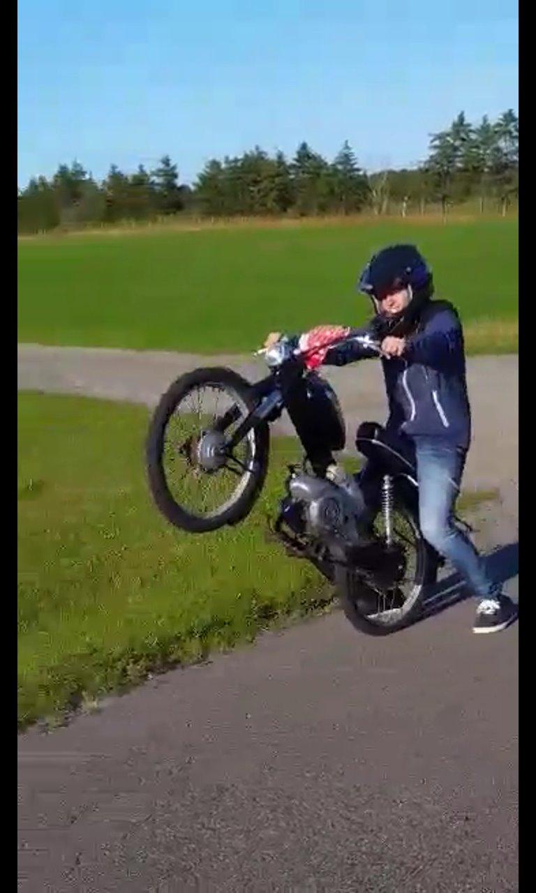 Puch MS50 3 gear billede 11