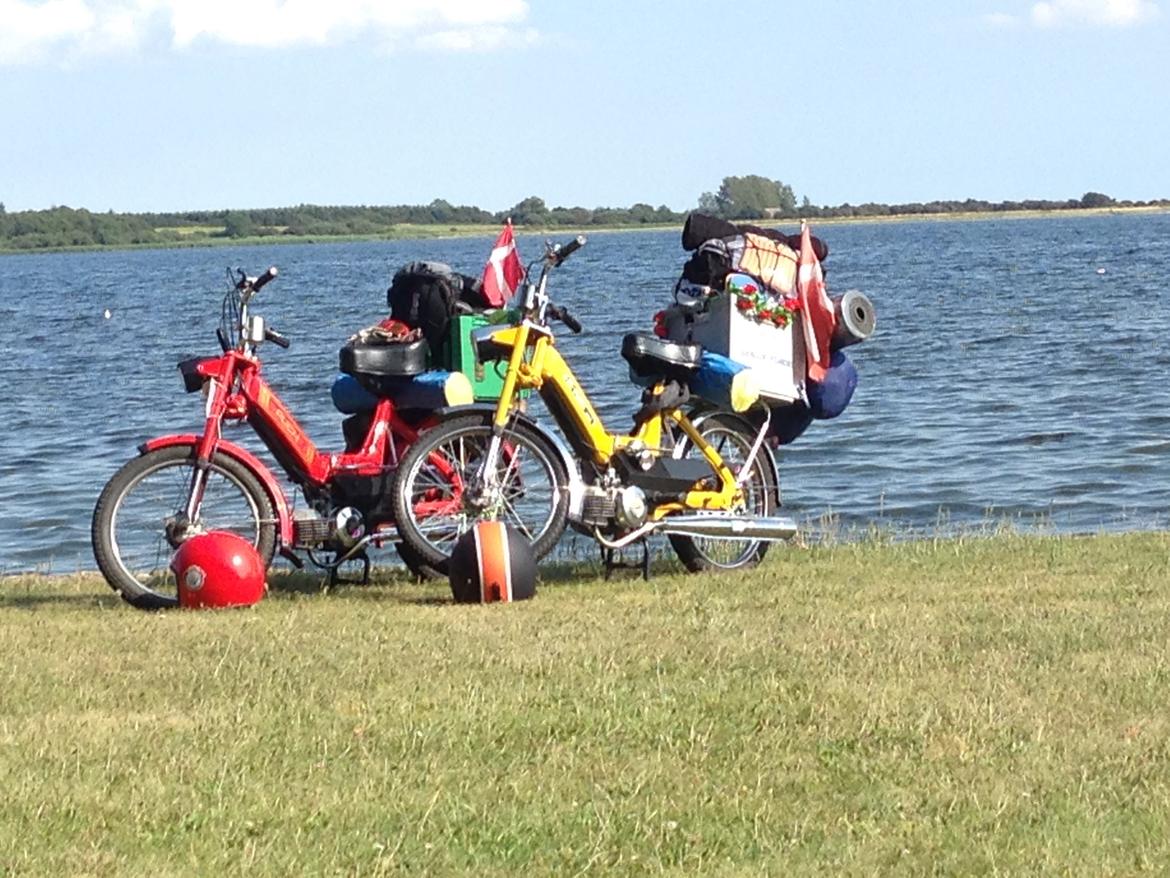 Puch Maxi K billede 4