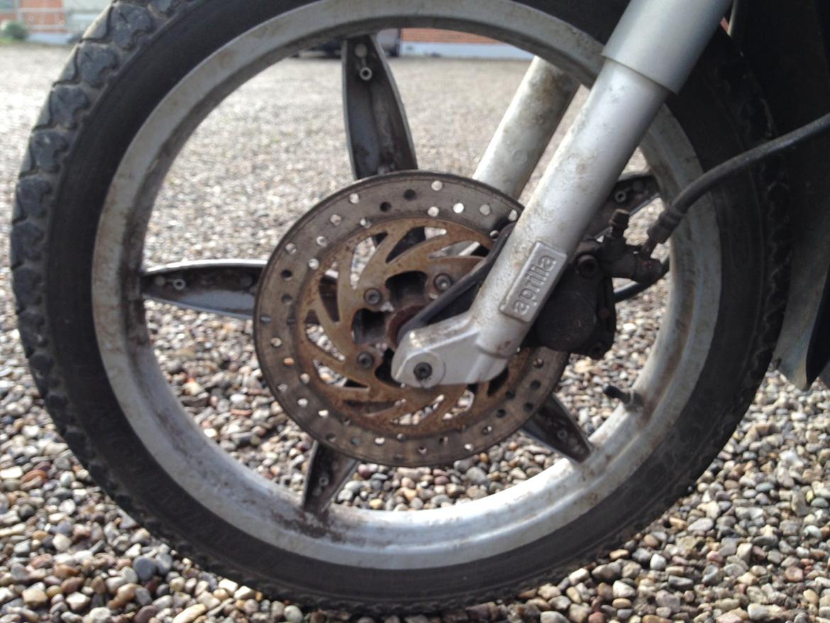 Aprilia Scarabeo billede 16