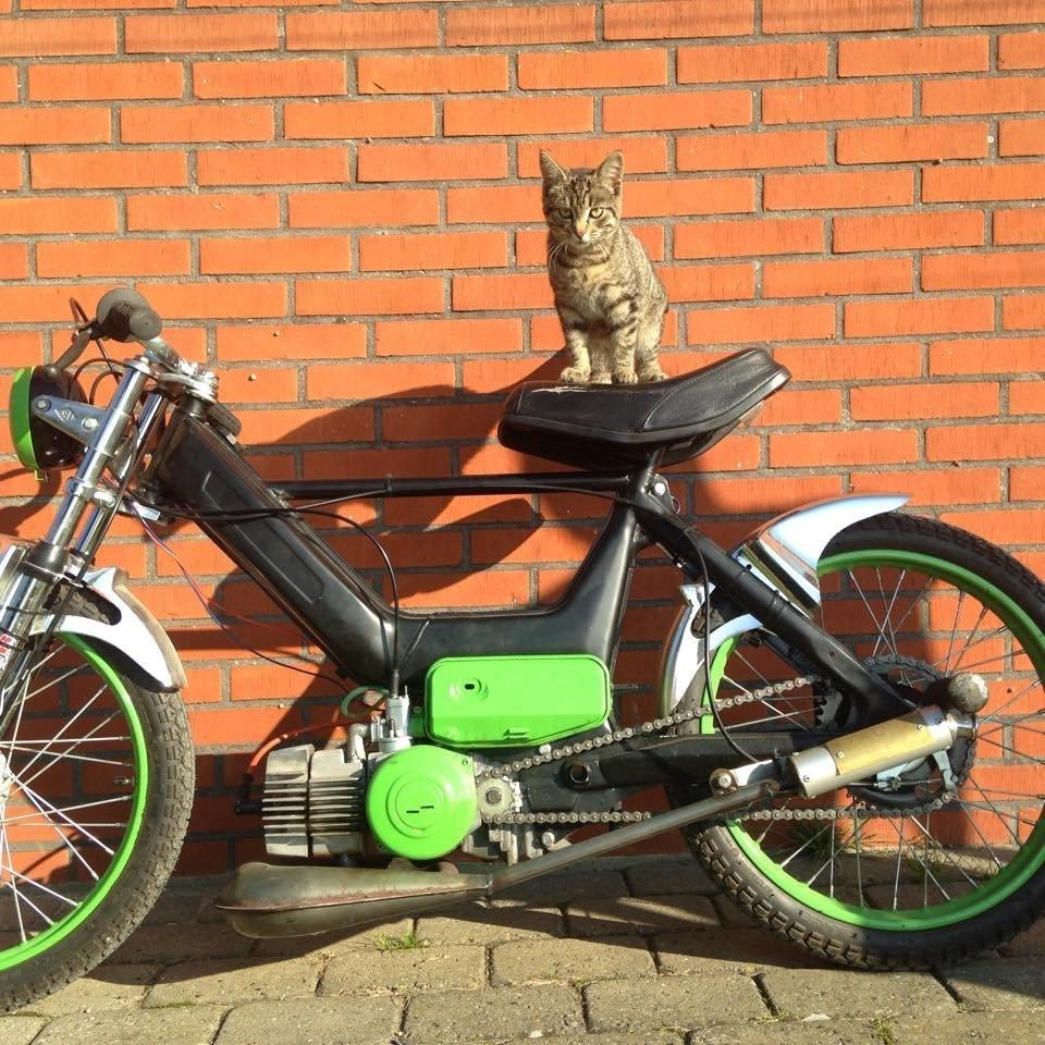 Puch maxi k  racer (solgt) billede 7