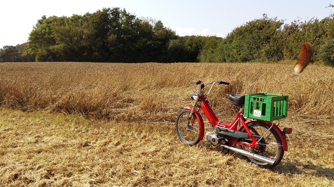 Puch Maxi K billede 2