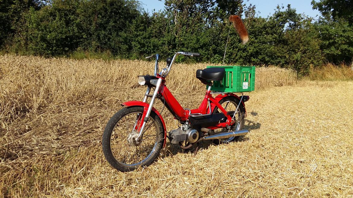 Puch Maxi K billede 4