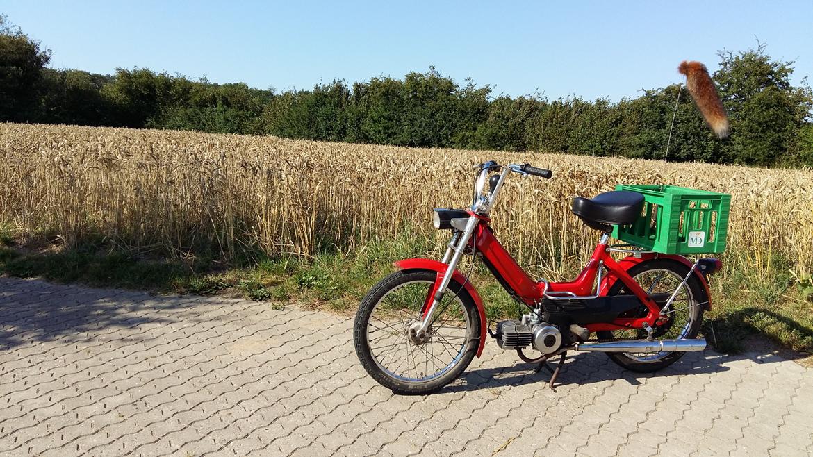 Puch Maxi K billede 5