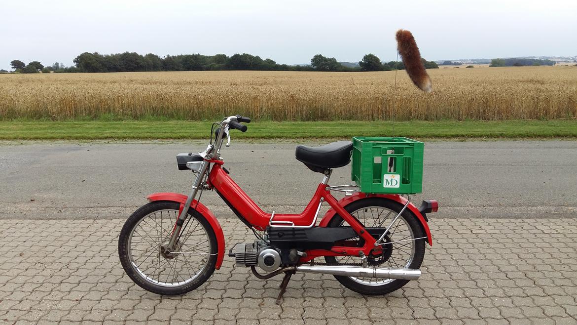 Puch Maxi K billede 6