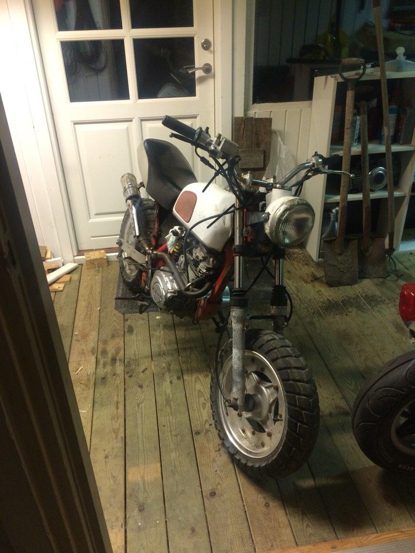 Skyteam Cobra 5 gear solgt billede 1