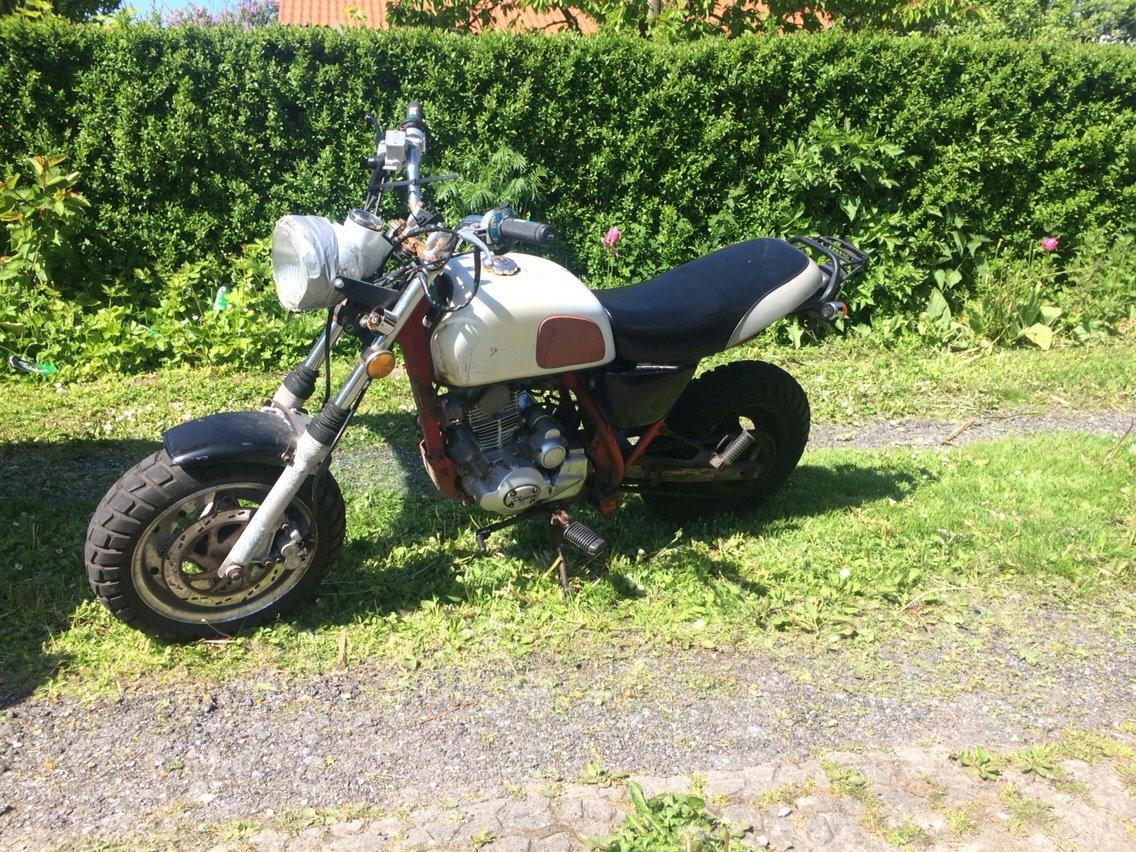 Skyteam Cobra 5 gear solgt billede 5