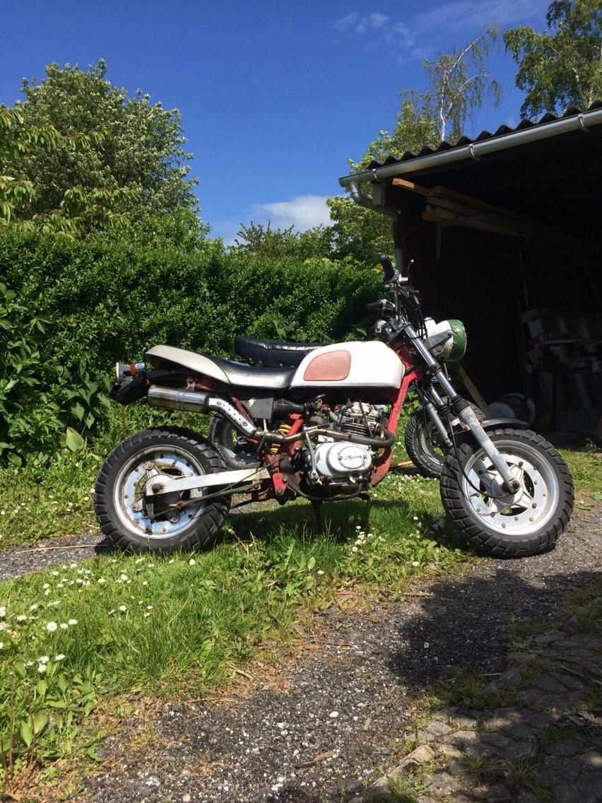 Skyteam Cobra 5 gear solgt billede 10